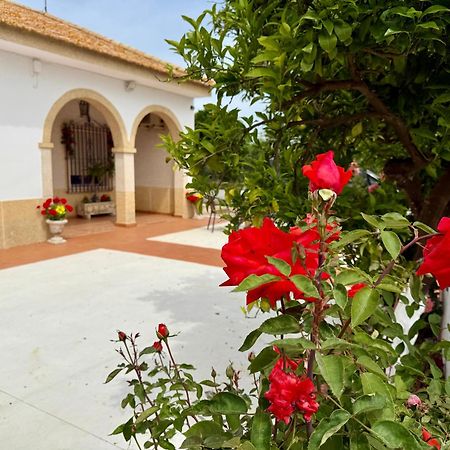 Villa La Casa Del Flamenco à Cañada del Rabadán Extérieur photo