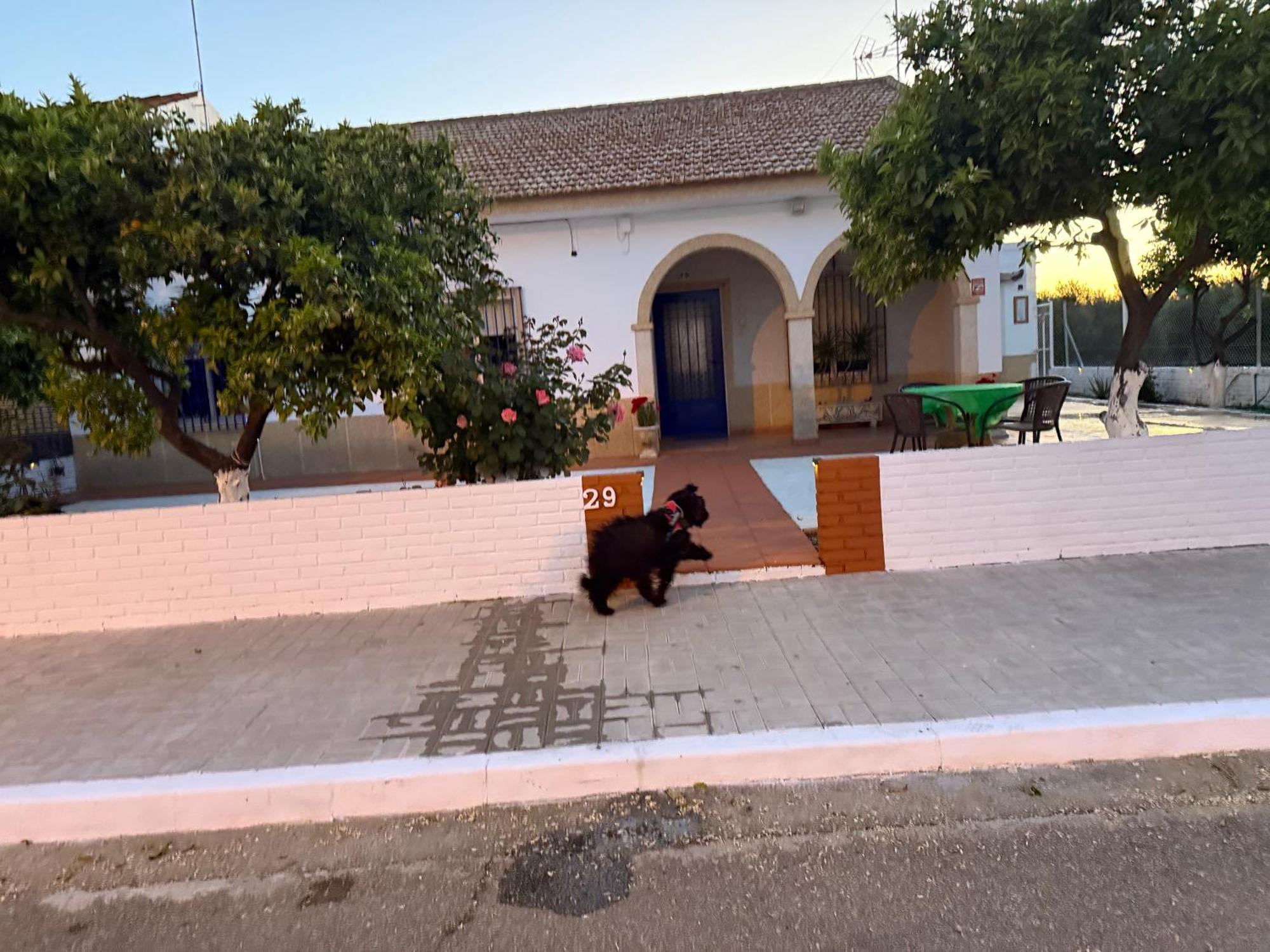 Villa La Casa Del Flamenco à Cañada del Rabadán Extérieur photo