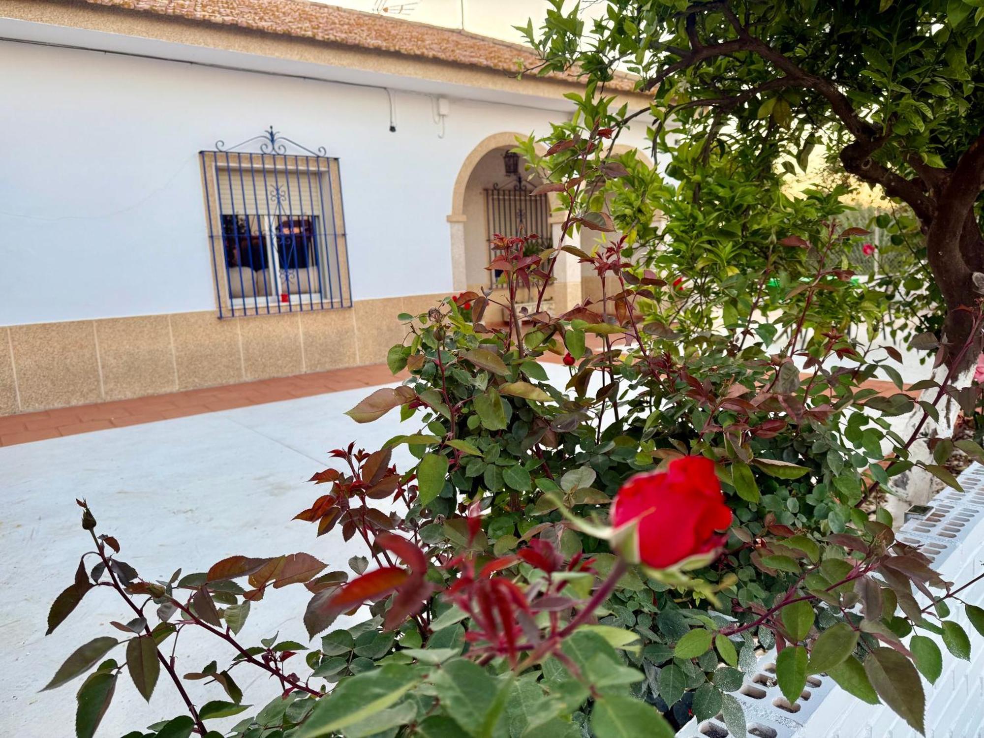 Villa La Casa Del Flamenco à Cañada del Rabadán Extérieur photo