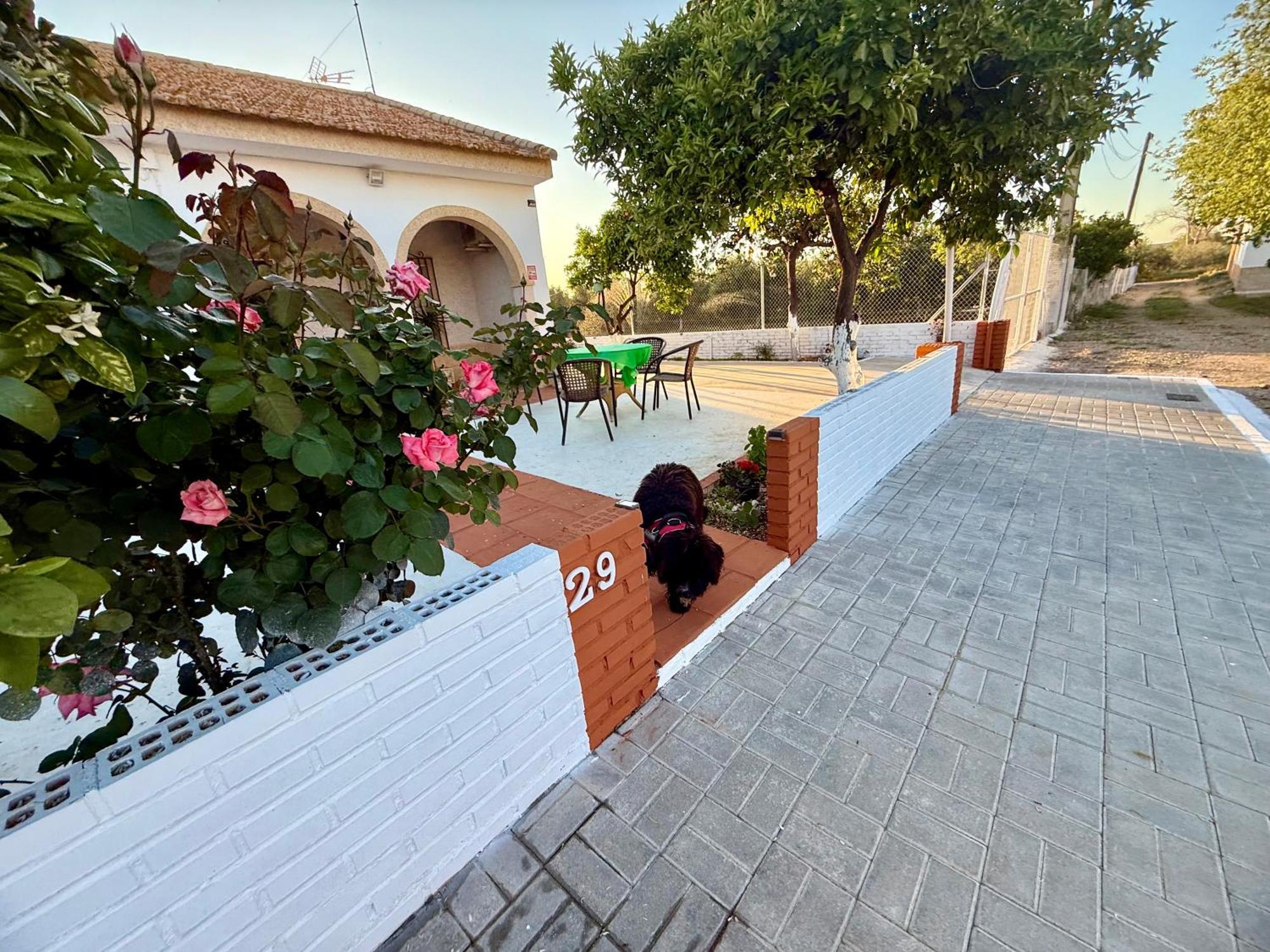 Villa La Casa Del Flamenco à Cañada del Rabadán Extérieur photo