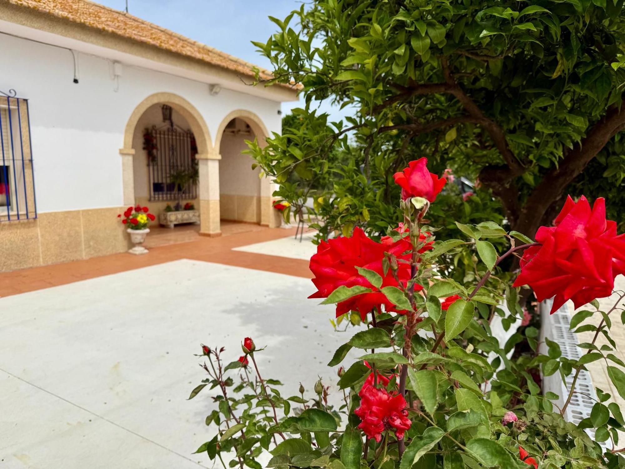 Villa La Casa Del Flamenco à Cañada del Rabadán Extérieur photo