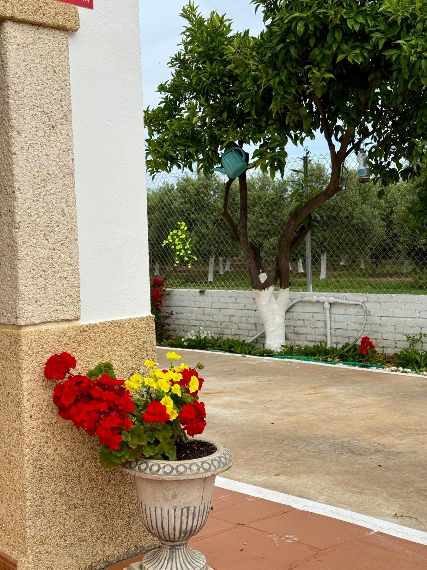 Villa La Casa Del Flamenco à Cañada del Rabadán Extérieur photo